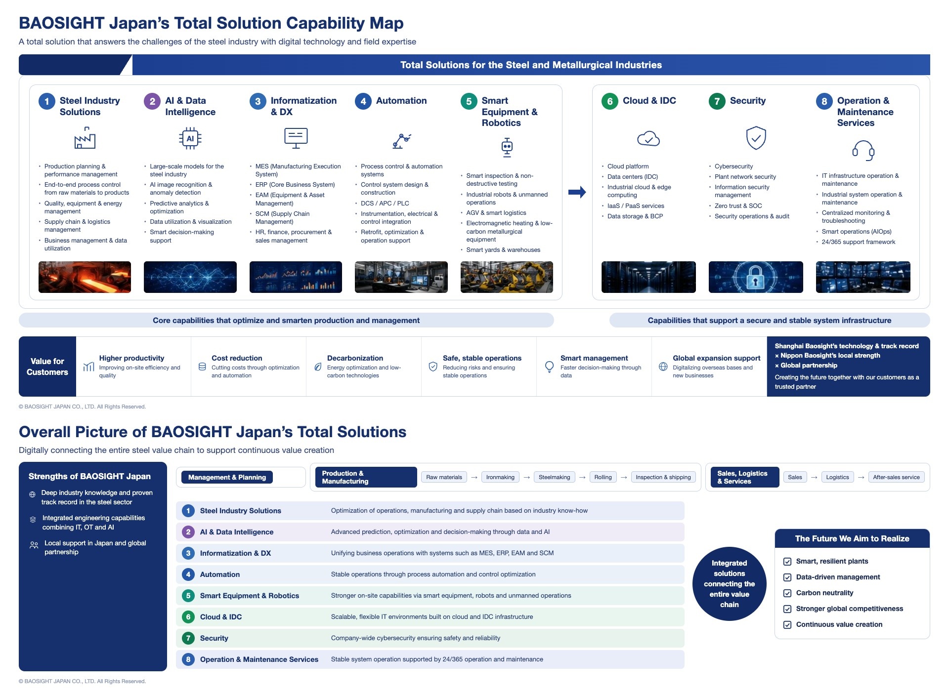 BAOSIGHT Japan total solution capability map